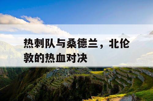 热刺队与桑德兰，北伦敦的热血对决