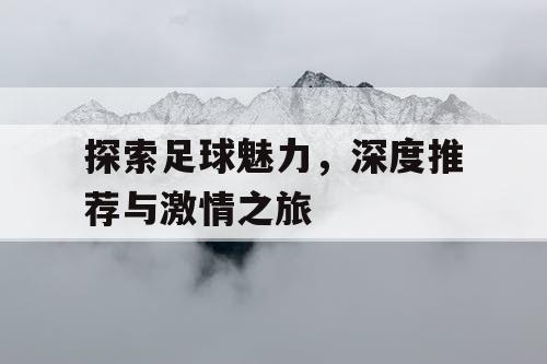 探索足球魅力，深度推荐与激情之旅