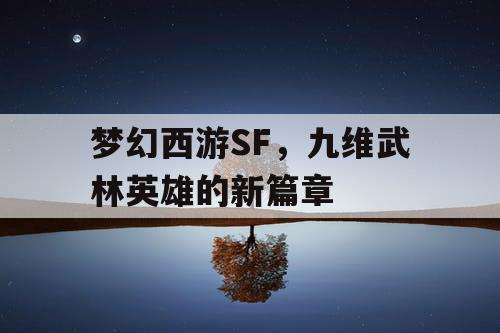 梦幻西游SF，九维武林英雄的新篇章