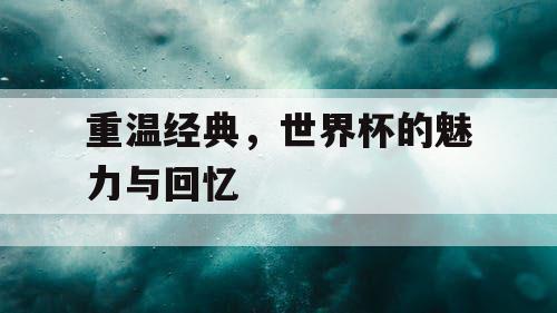 重温经典，世界杯的魅力与回忆