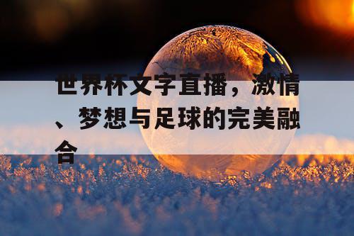 世界杯文字直播，激情、梦想与足球的完美融合