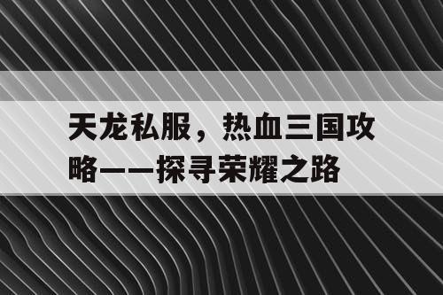 天龙私服，热血三国攻略——探寻荣耀之路
