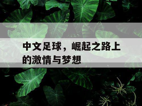 中文足球，崛起之路上的激情与梦想