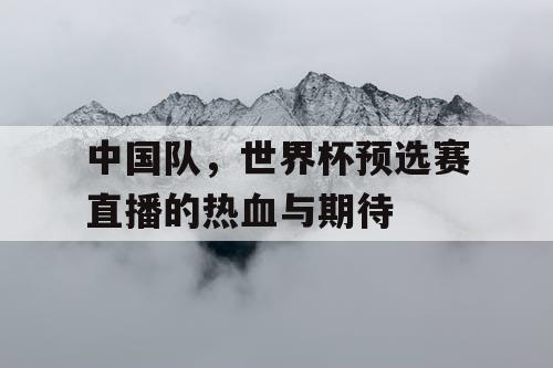 中国队，世界杯预选赛直播的热血与期待