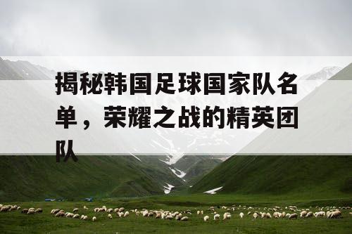 揭秘韩国足球国家队名单，荣耀之战的精英团队