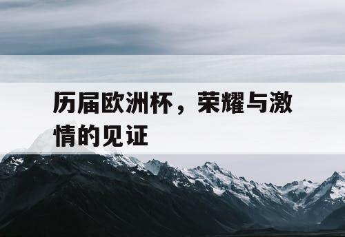 历届欧洲杯，荣耀与激情的见证