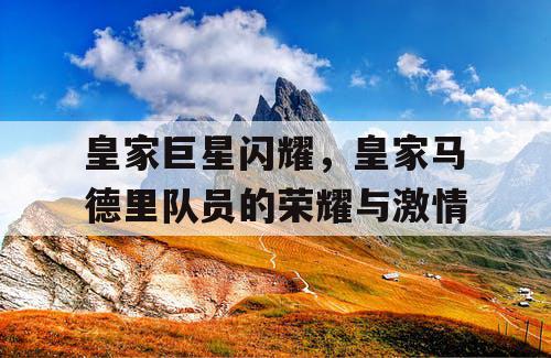 皇家巨星闪耀，皇家马德里队员的荣耀与激情