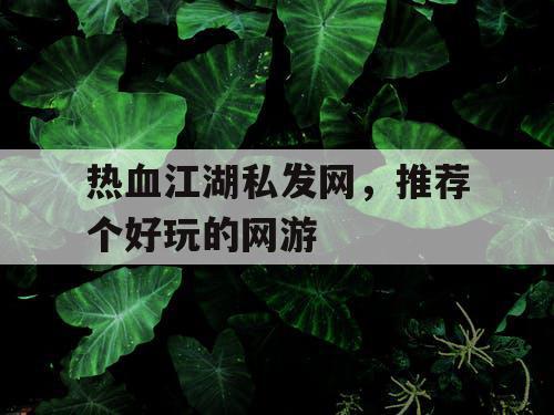 热血江湖私发网，推荐个好玩的网游