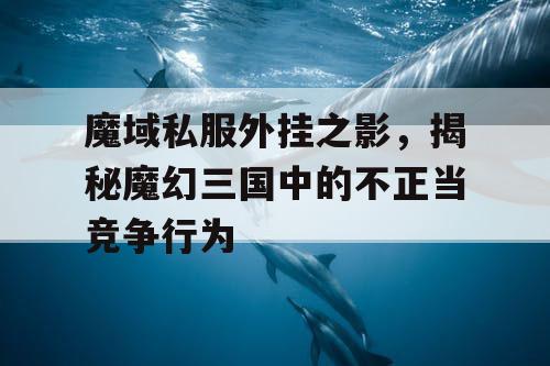 魔域私服外挂之影，揭秘魔幻三国中的不正当竞争行为