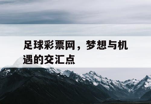 足球彩票网，梦想与机遇的交汇点