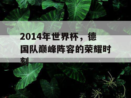 2014年世界杯，德国队巅峰阵容的荣耀时刻