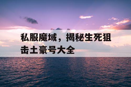 私服魔域，揭秘生死狙击土豪号大全