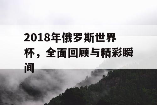 2018年俄罗斯世界杯，全面回顾与精彩瞬间