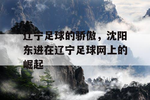 辽宁足球的骄傲，沈阳东进在辽宁足球网上的崛起