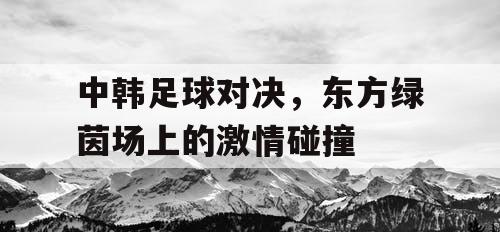 中韩足球对决，东方绿茵场上的激情碰撞