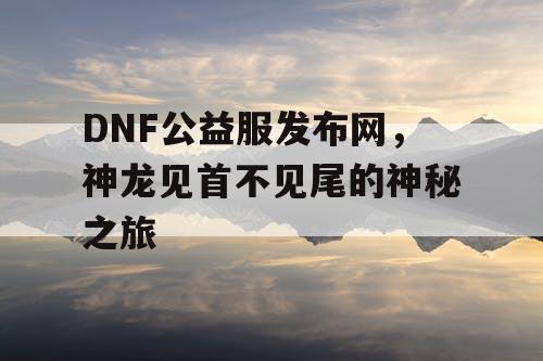 DNF公益服发布网，神龙见首不见尾的神秘之旅