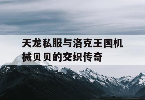 天龙私服与洛克王国机械贝贝的交织传奇