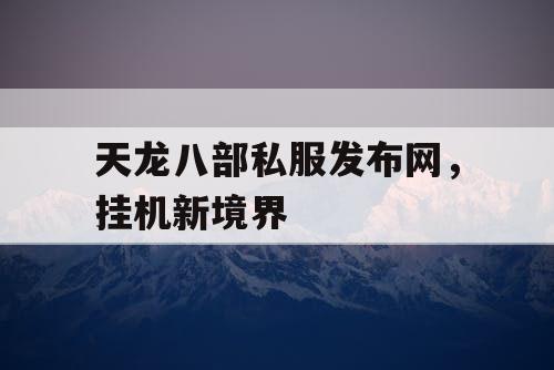 天龙八部私服发布网，挂机新境界