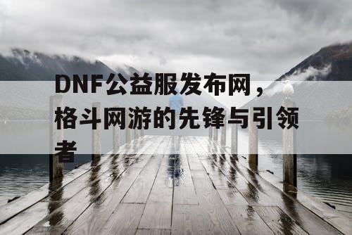 DNF公益服发布网，格斗网游的先锋与引领者