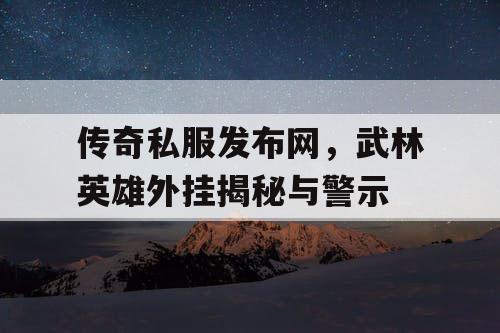 传奇私服发布网，武林英雄外挂揭秘与警示