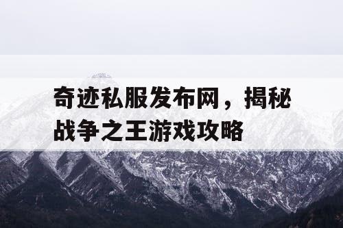 奇迹私服发布网，揭秘战争之王游戏攻略