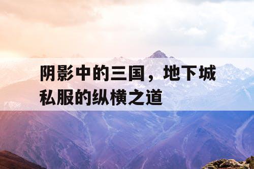 阴影中的三国,地下城私服的纵横之道 阴影中的三国,地下城私服的纵横之道