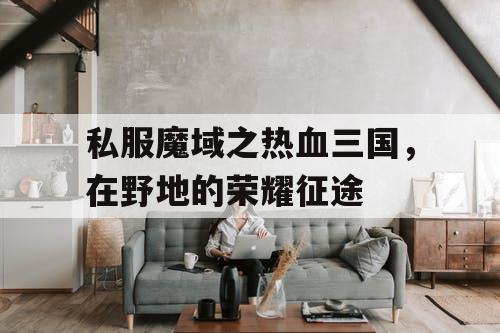 私服魔域之热血三国,在野地的荣耀征途 私服魔域之热血三国,在野地的荣耀征途