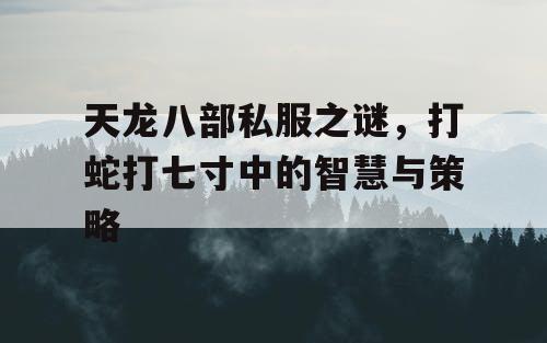 天龙八部私服之谜，打蛇打七寸中的智慧与策略
