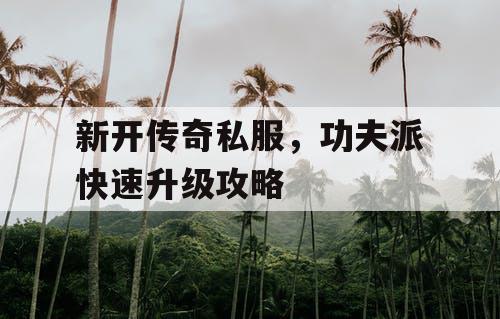 新开传奇私服，功夫派快速升级攻略