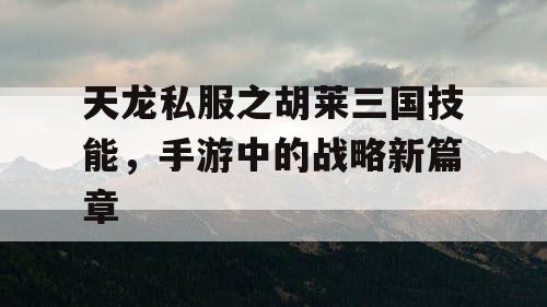 天龙私服之胡莱三国技能，手游中的战略新篇章