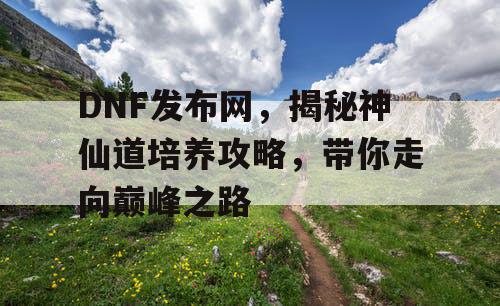 DNF发布网，揭秘神仙道培养攻略，带你走向巅峰之路