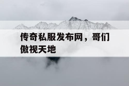 传奇私服发布网，哥们傲视天地
