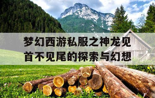 梦幻西游私服之神龙见首不见尾的探索与幻想