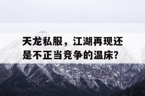 天龙私服，江湖再现还是不正当竞争的温床？