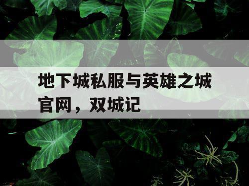 地下城私服与英雄之城官网,双城记 地下城私服与英雄之城官网,双城记