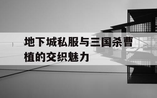 地下城私服与三国杀曹植的交织魅力