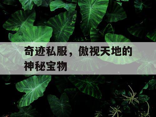 奇迹私服，傲视天地的神秘宝物