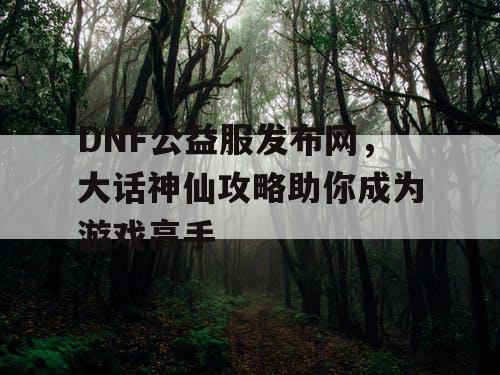 DNF公益服发布网，大话神仙攻略助你成为游戏高手