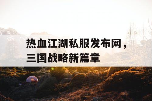 热血江湖私服发布网，三国战略新篇章