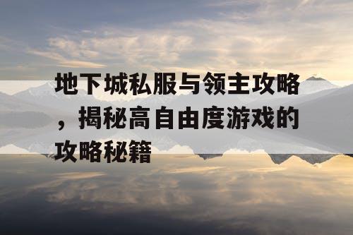 地下城私服与领主攻略，揭秘高自由度游戏的攻略秘籍