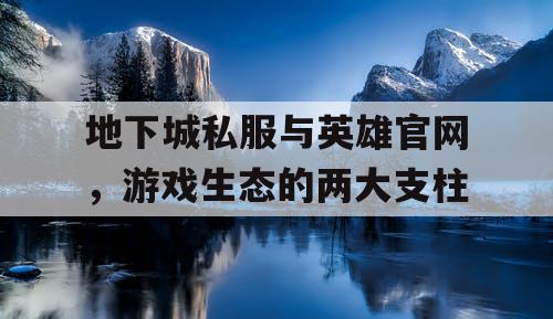 地下城私服与英雄官网，游戏生态的两大支柱