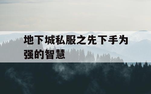 地下城私服之先下手为强的智慧 地下城私服之先下手为强的智慧