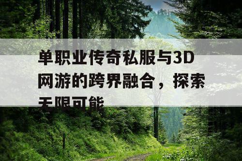 单职业传奇私服与3D网游的跨界融合,探索无限可能 单职业传奇私服与3D网游的跨界融合,探索无限可能
