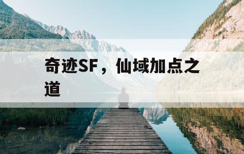 奇迹SF，仙域加点之道
