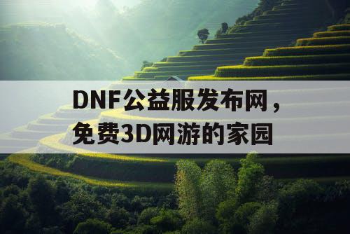 DNF公益服发布网，免费3D网游的家园