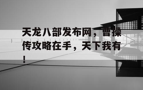 天龙八部发布网，曹操传攻略在手，天下我有！