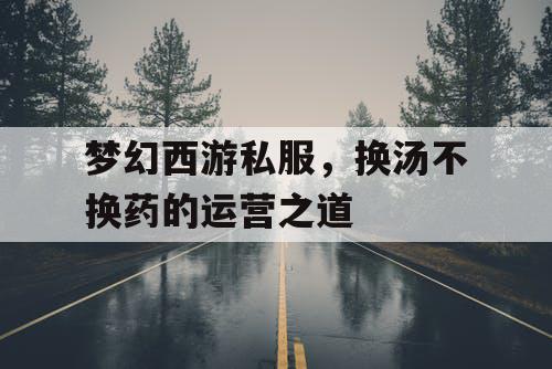 梦幻西游私服,换汤不换药的运营之道 梦幻西游私服,换汤不换药的运营之道