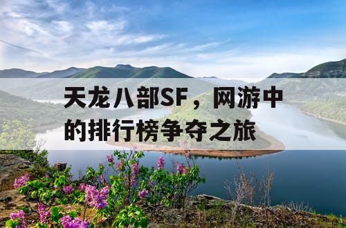 天龙八部SF，网游中的排行榜争夺之旅