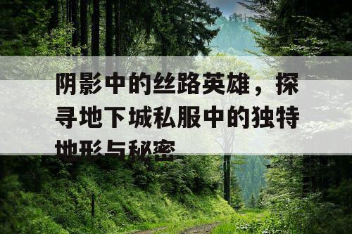 阴影中的丝路英雄，探寻地下城私服中的独特地形与秘密