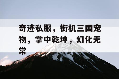 奇迹私服，街机三国宠物，掌中乾坤，幻化无常